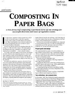 Composting In Paper Bags