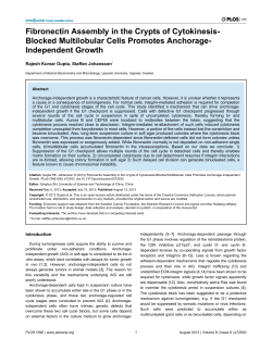 Fibronectin Assembly in the Crypts of Cytokinesis