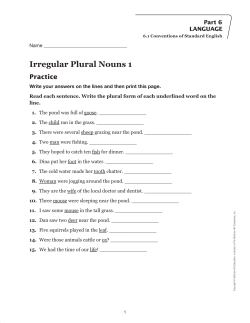 Irregular Plural Nouns 1 Practice
