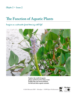 The Function of Aquatic Plants