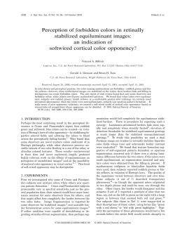 Perception of forbidden colors in retinally stabilized equiluminant