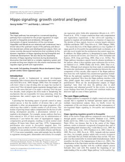 Hippo signaling: growth control and beyond - Development