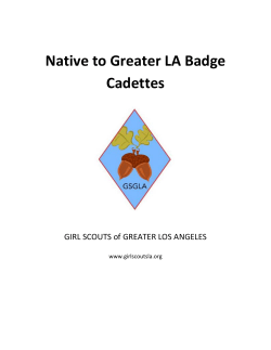 Cadette Badge Information - Girl Scouts of Greater Los Angeles