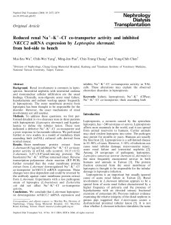 Cl co-transporter activity and inhibited NKCC2 mRNA expression by