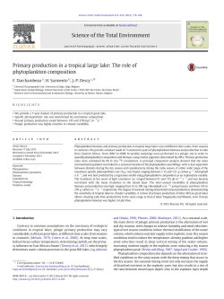 Primary production in a tropical large lake: The role of phytoplankton