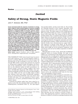 Safety of Strong, Static Magnetic Fields
