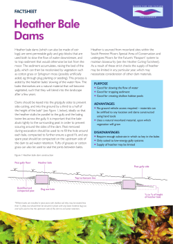 Heather Bale Dams - Moors for the Future
