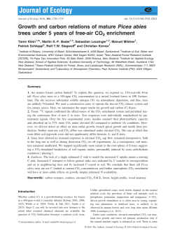 Growth and carbon relations of mature Picea abies trees under 5