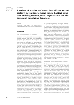 A review of studies on brown bear (Ursus arctos) ecology in relation