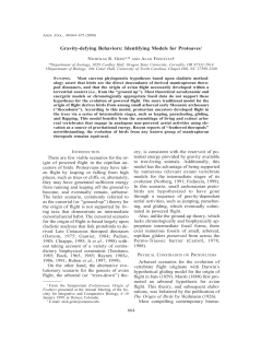Gravity-defying Behaviors: Identifying Models for Protoaves1