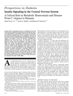 Insulin Signaling in the Central Nervous System