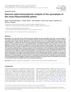 Genome-wide transcriptomic analysis of the sporophyte of the moss
