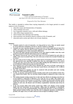 Merkblatt Tsunami