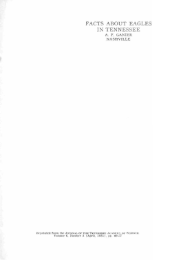 facts about eagles in tennessee