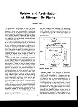 Uptake and Assimilation of Nitrogen By Plants