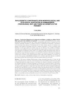 phylogenetic constraints upon morphological and ecological