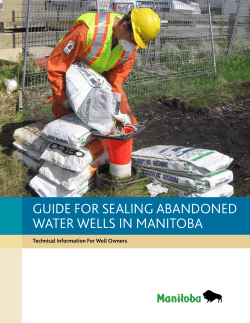 GUIDE FOR SEALING ABANDONED WATER WELLS IN MANITOBA