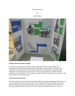 Ireland and Famine - My Webspace files