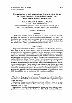 Neutralization of a Cytopathogenic Bovine Orphan