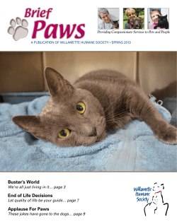 Buster`s World End of Life Decisions Applause For Paws