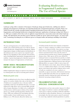 Evaluating Biodiversity in Fragmented