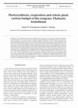 Full text in pdf format