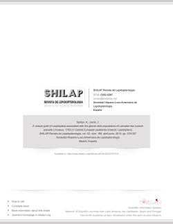 Ledum palustre Linnaeus, 1