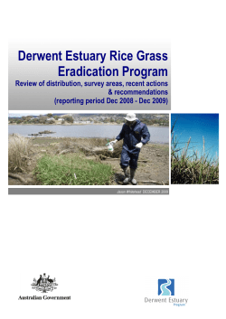 Derwent Estuary Rice Grass Eradication Program