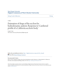 Estimation of shape of the sea lion for hydrodynamic analysis