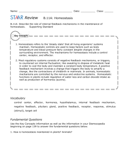 11A Homeostasis