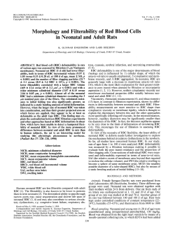 Morphology and Filterability of Red Blood Cells in Neonatal