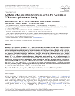 Analysis of functional redundancies within the Arabidopsis TCP