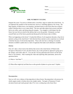 SOIL NUTRIENT CYCLING Imagine this scene: You arrive in