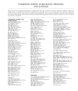 combining forms, word roots, prefixes, and suffixes