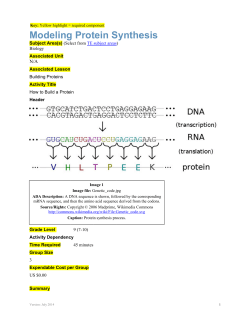 Modelling Protein Synthesis - GK-12 Program at the University of