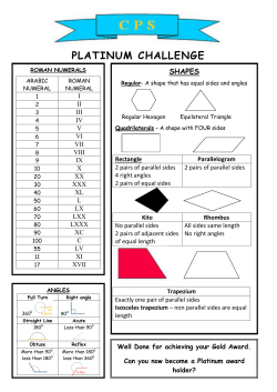 Platinum Challange KS2 part 2 pdf File