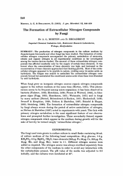 The Formation of Extracellular Nitrogen Compounds