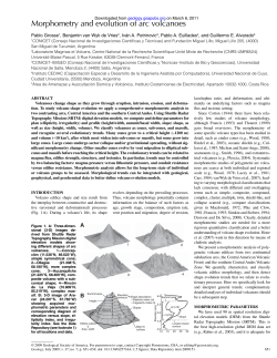 Morphometry and evolution of arc volcanoes