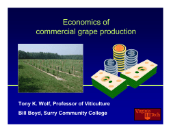 Economics of Commercial Grape Production (PDF | 614KB)