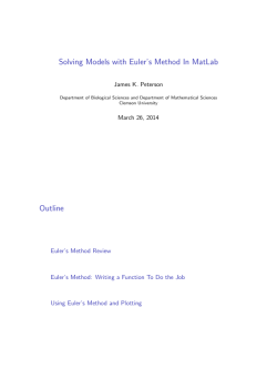 Solving Models with Euler`s Method In MatLab