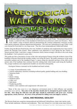 Brooms Head.ppp