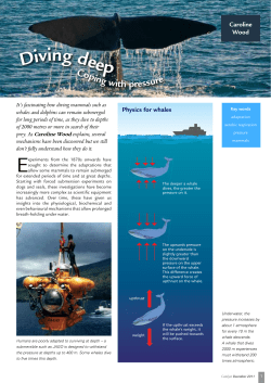 Diving deep