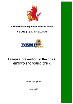 Disease prevention in the chick embryo and young chick