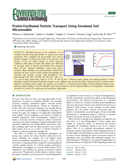 Protist-Facilitated Particle Transport Using Emulated Soil Micromodels