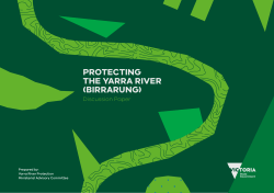 Protecting the Yarra River (Birrarung)