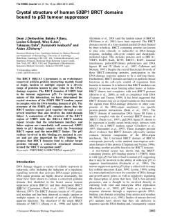 Crystal structure of human 53BP1 BRCT domains bound to