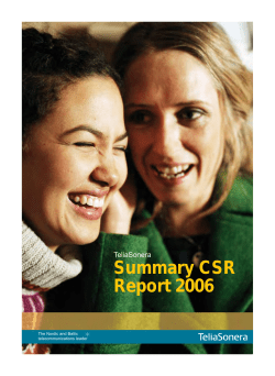 Summary CSR Report 2006