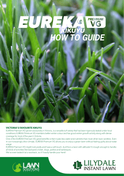 Eureka Kikuyu Premium VG How to Guide