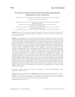 Terrestrial mammal threedimensional