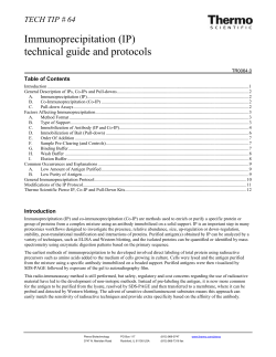 Tech Tip #64: Immunoprecipitation (IP) technical guide and protocols